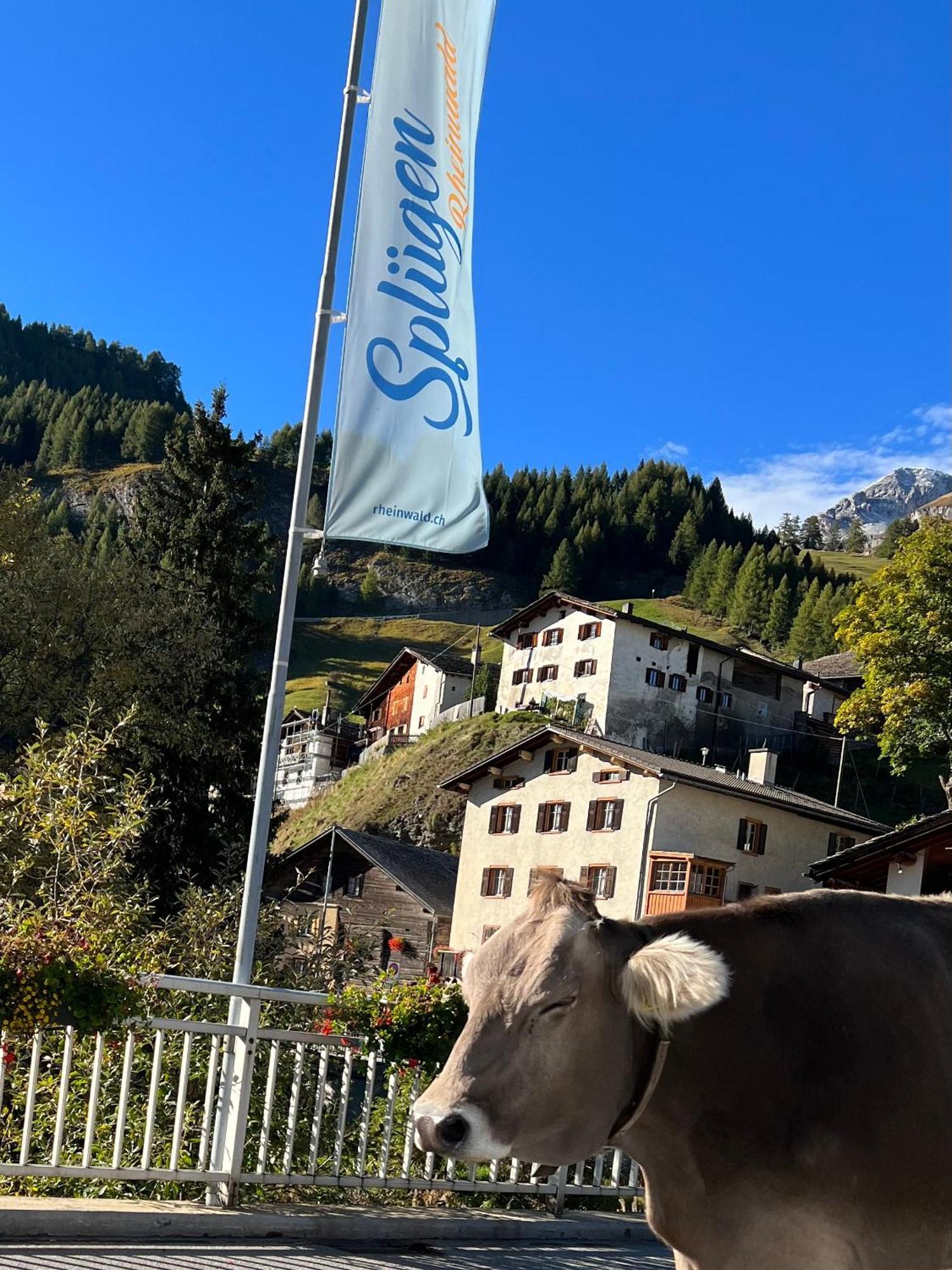 Hotel Piz Tambo Splügen Exteriér fotografie