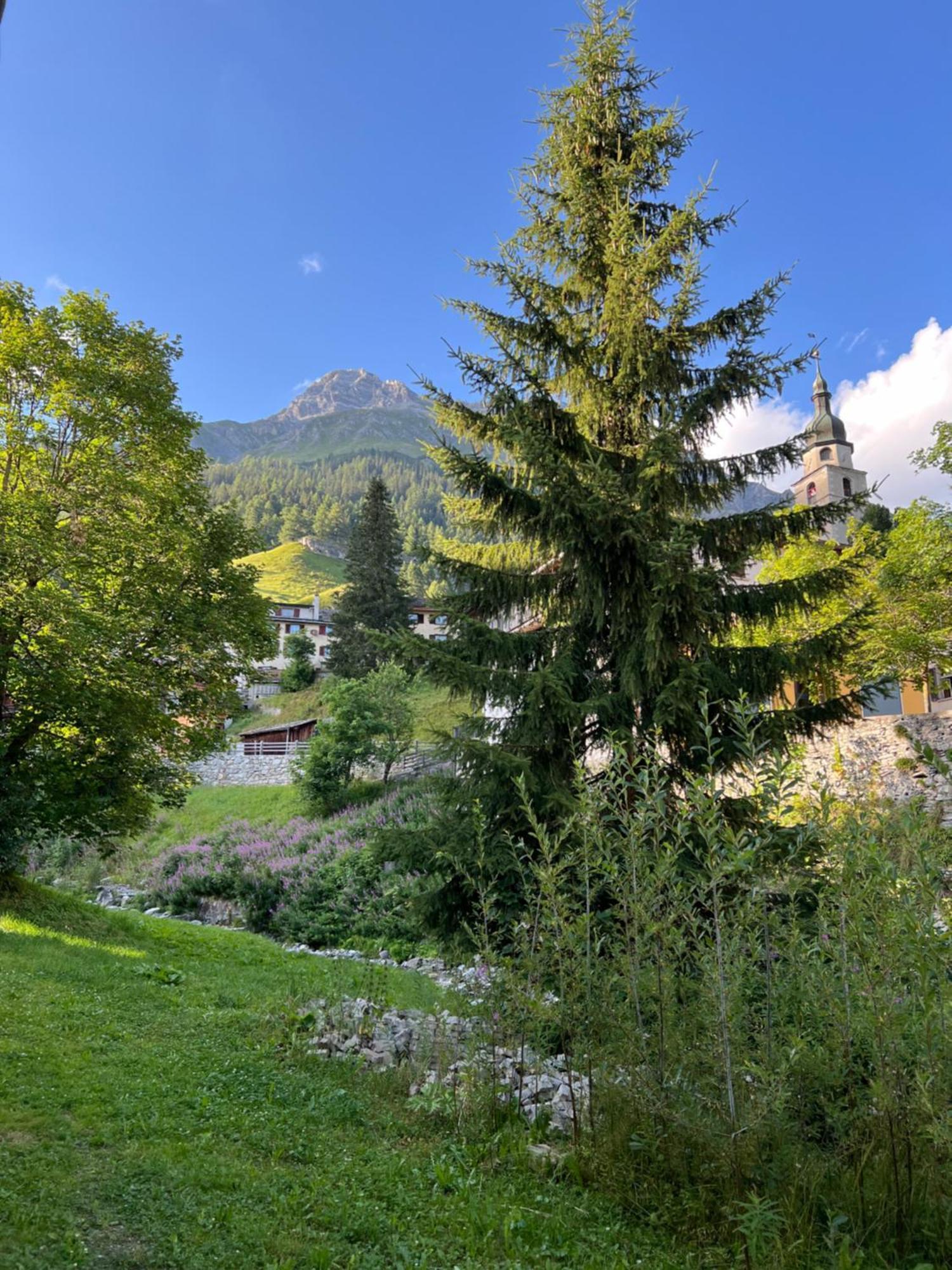 Hotel Piz Tambo Splügen Exteriér fotografie